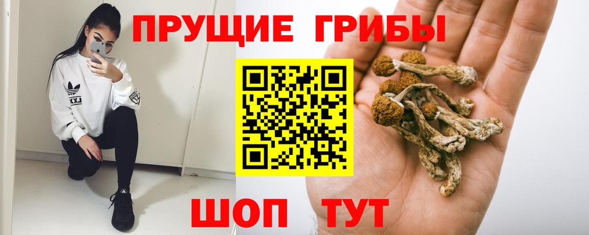 Галлюциногенные грибы Psilocybe  Вход с VPN  Верхняя Пышма  Галлюциногенные грибы мухоморы 